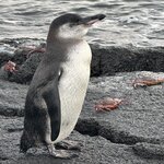 Photo taken by Mark A