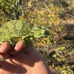 Photo taken by Chris K