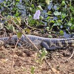 Photo taken by Adriene A