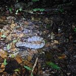 Photo taken by Sarah R