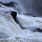 Photo taken by Cara W