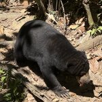 Photo taken by Edit M