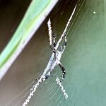 Photo taken by Ben B