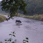 Photo taken by Emily K