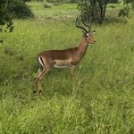 Photo taken by Michael Z