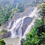 Photo taken by Judy H