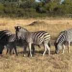 Photo taken by Tom B