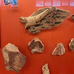 Photo taken by Leslie D