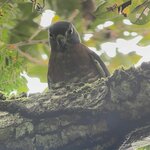 Photo taken by Lisa M