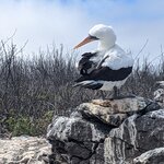 Photo taken by Jennifer A