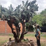 Photo taken by Manon G