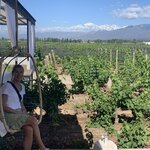 Photo taken by Paul P