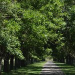 Photo taken by Eric T