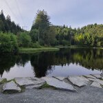 Photo taken by Tamara N