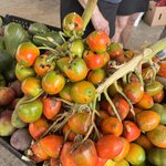 Photo taken by Ben B