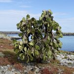 Photo taken by Joseph P