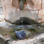 Photo taken by Karla C