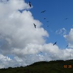 Photo taken by Jennifer Z