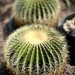 Photo taken by Martin D