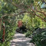 Photo taken by Nisah M