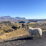 Photo taken by Carrie A