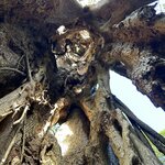 Photo taken by Peter B