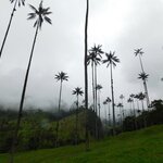 Photo taken by Brett F