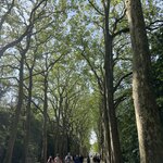 Photo taken by Queenie C