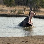 Photo taken by Paul B