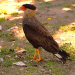 Photo taken by Dennis H