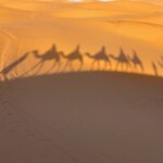 Photo taken by Patty N