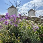 Photo taken by Amy I