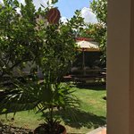 Her garden | Photo taken by Darina B