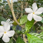 Photo taken by Kate R