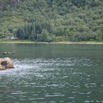 Photo taken by paolo c