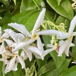 Photo taken by Erin J