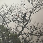 Photo taken by Shanthi V