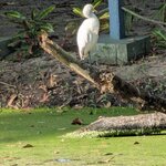 Photo taken by Shyamal N