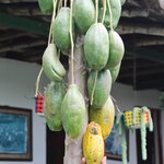 Photo taken by Erika P