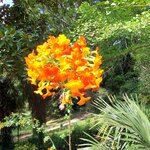 Photo taken by Mike T