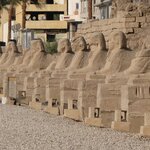 Photo taken by Maryann S