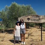 Ruth and Ioanna; My Precious Olive Tree | Photo taken by Tom B