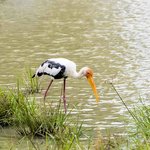 Photo taken by Graham D