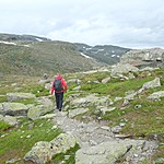 Sebastian walking | Photo taken by Roberta R