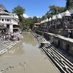 Photo taken by Willow K