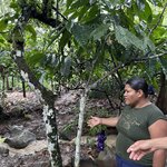 Photo taken by Susan O