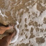 Photo taken by Julie H