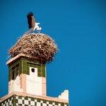 Photo taken by Colin M