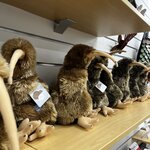 Photo taken by Judah J