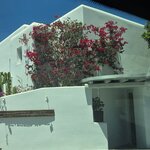 Photo taken by Candi S